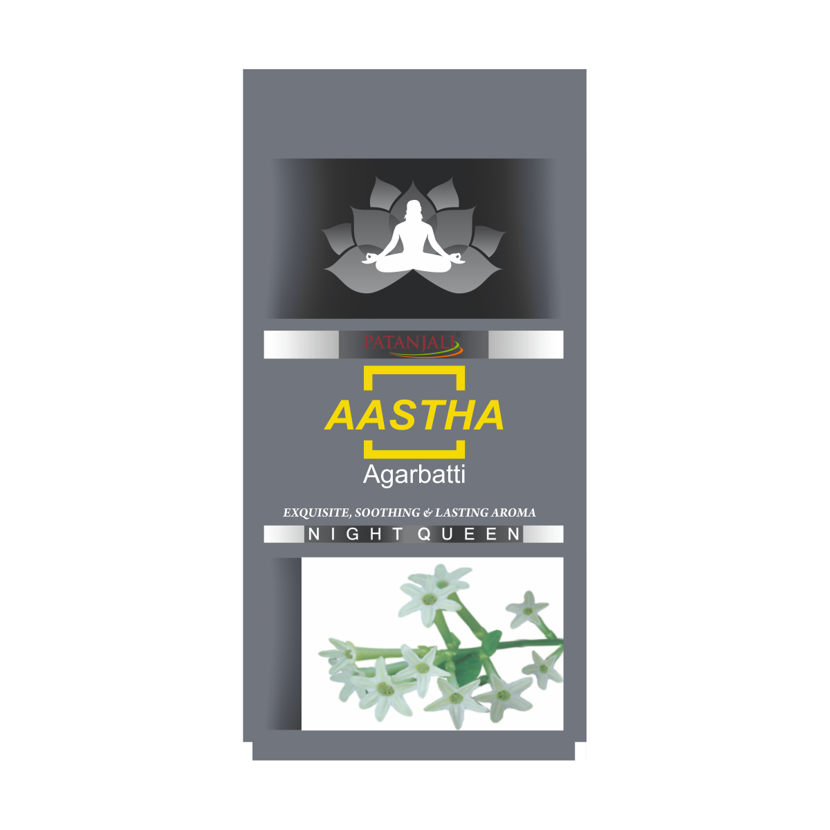 Patanjali Aastha Ratrani 25 g