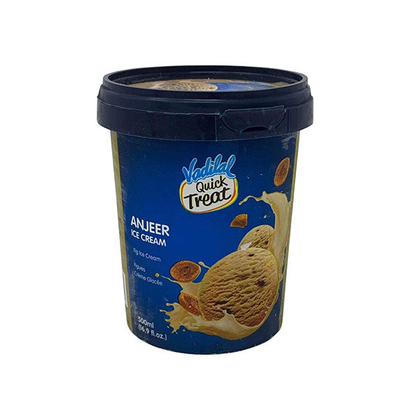 Vadilal Anjeer Ice Cream 500 ml