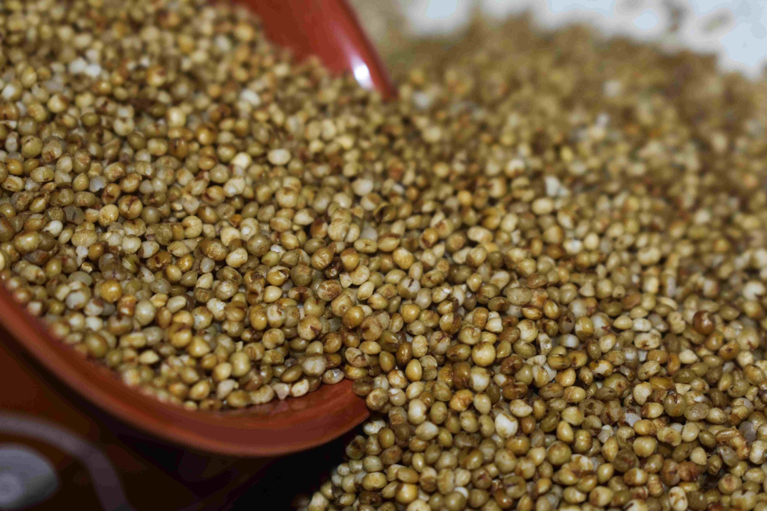 Arya BROWN TOP(KORLE) MILLET 1 kg