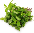Uttam Mint Leaves 100 g