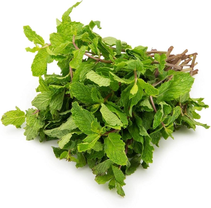 Uttam Mint Leaves 100 g