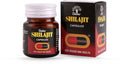 Dabur Shilajit 30 Capsules