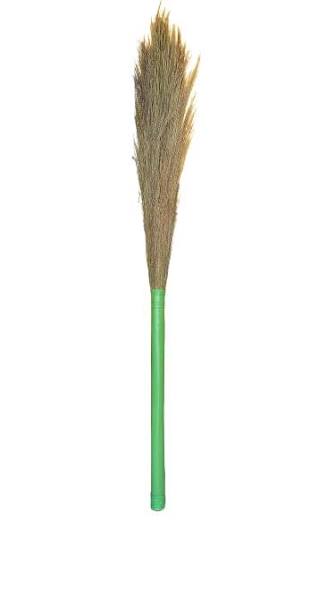 Indian Broom Flower Soft