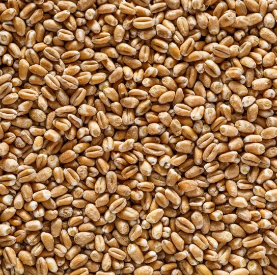 Whole Wheat 500 g
