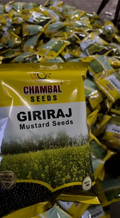 Taaza Mustard 1 kg