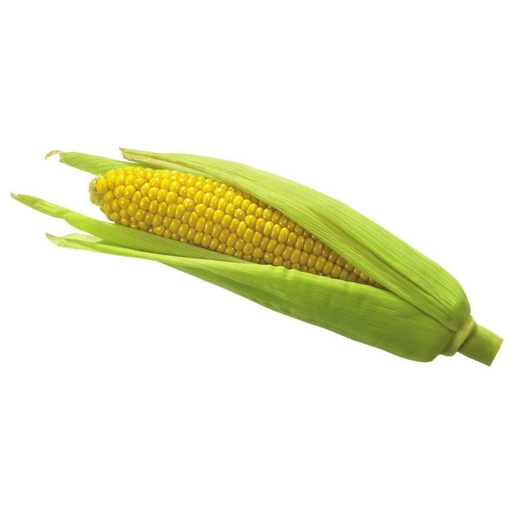 Corn 1 pcs
