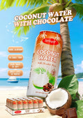Springin Coconut Water With Chocolate Flavour 490 ml