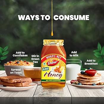 Dabur Honey 500 g