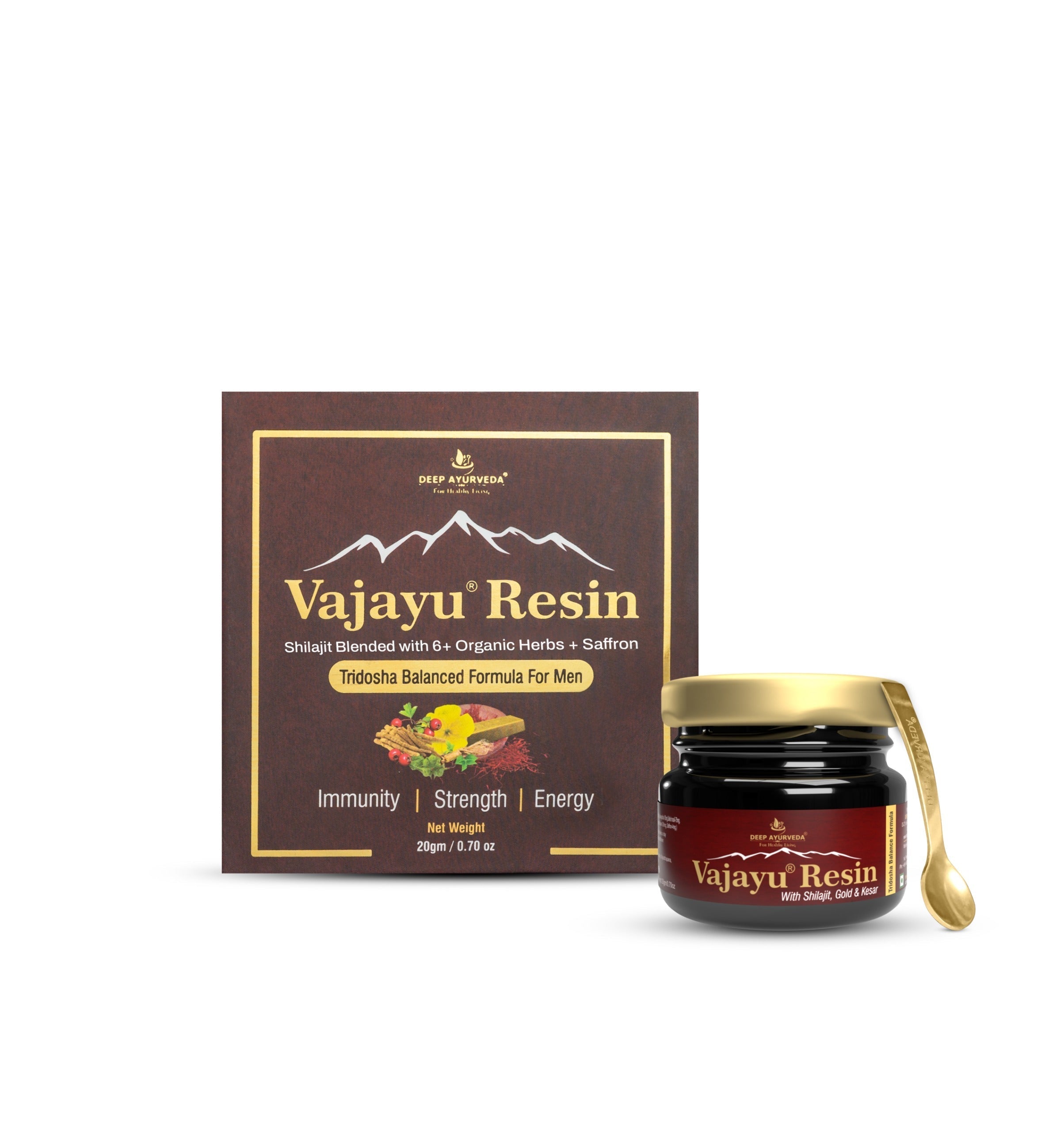 Vajayu Shilajit Resin Tridosha 20 g