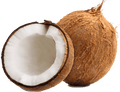 Spark Whole Coconut 1 Piece