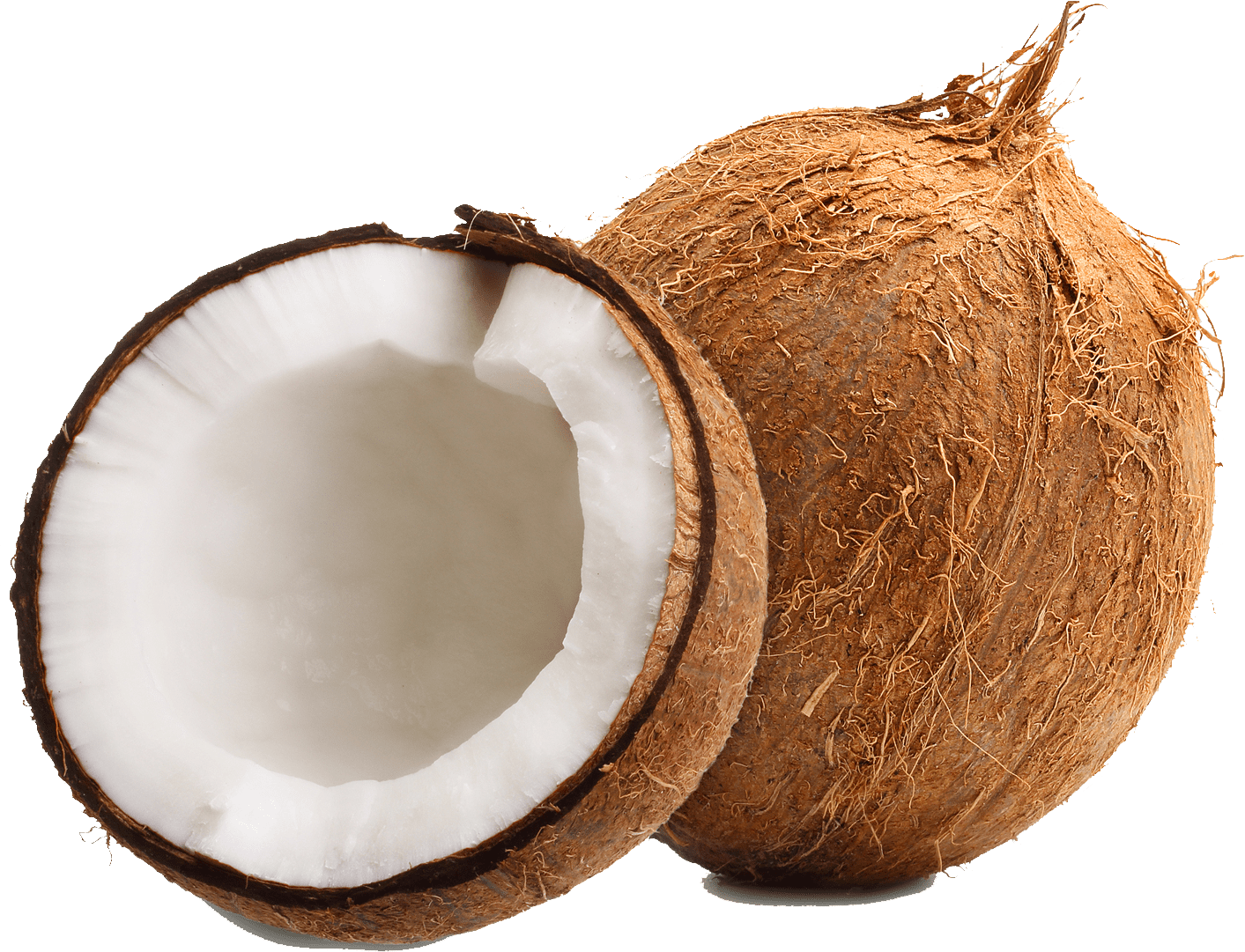 Spark Whole Coconut 1 Piece