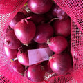 Fresh Red Onion 10 kg