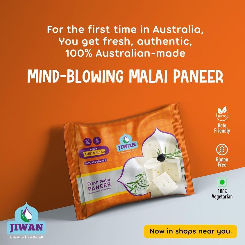 Jiwan Paneer Blocks