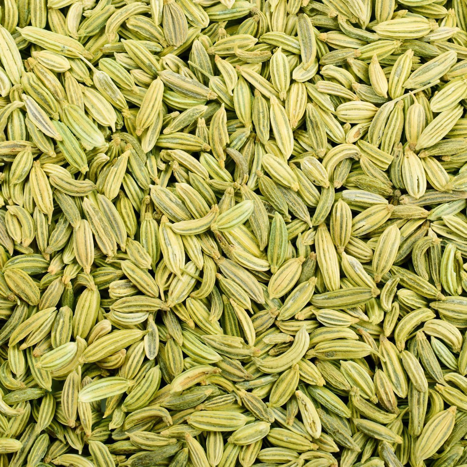 Jaipur Fennel Whole 400 g