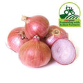 Fresh Brown Onion 20 kg