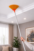 Broom Celling Long Type 6