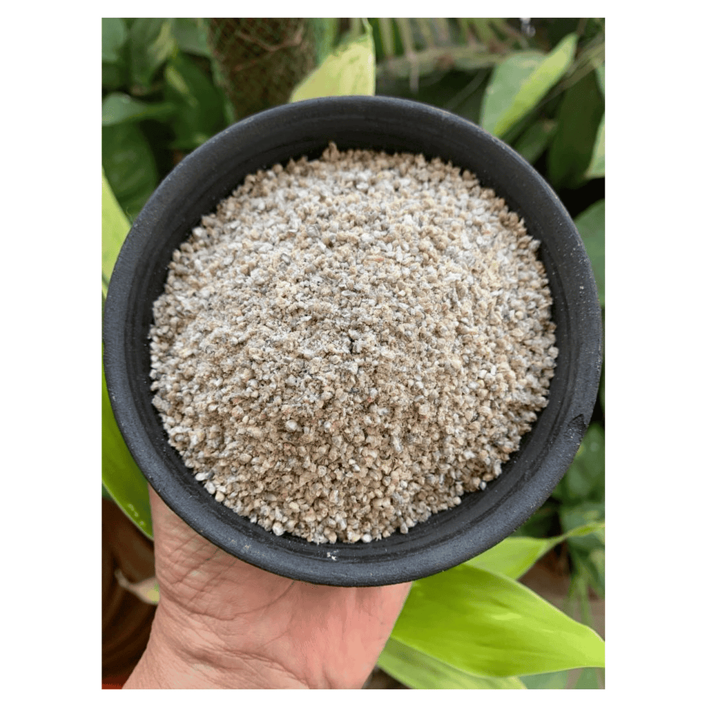 Aithra Bajra Broken 500 g