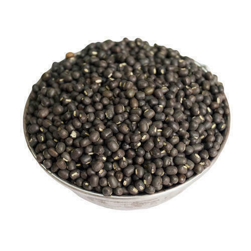 Katoomba Mustard Seeds 500 g