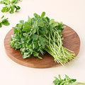 Jaipur Methi Leaves 100 g