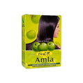 Hesh Amla Powder 100 g