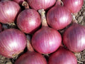 Deep Red Onion 340 g