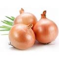 Fresh Brown Onion 10 kg
