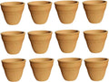 Kusum Clay Chai Cup 150 ml 12 pcs