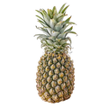 Purit Pineapple & Peach Dish Washing Liquid 1 L