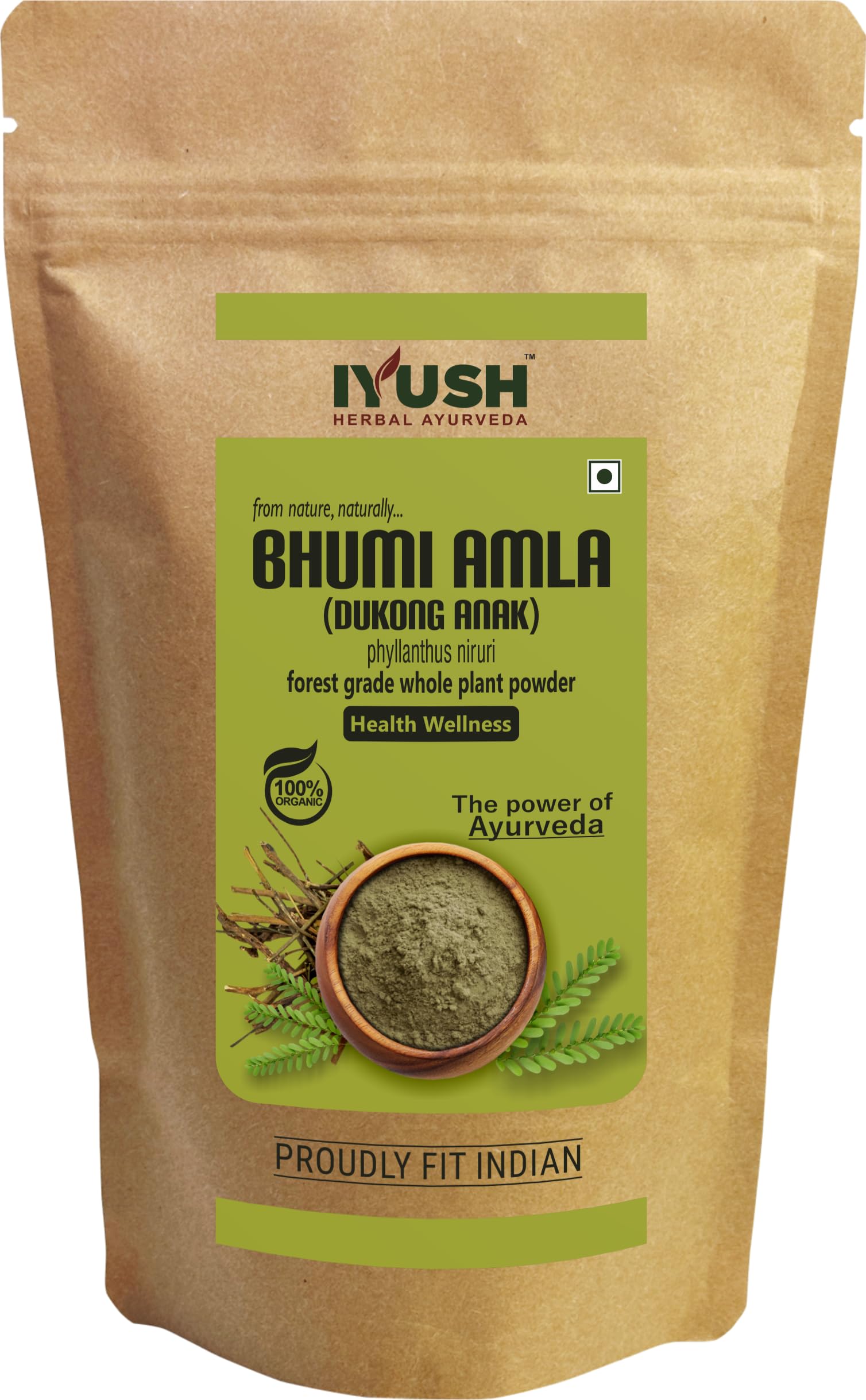Jan Bhumi Amla Powder 150 g