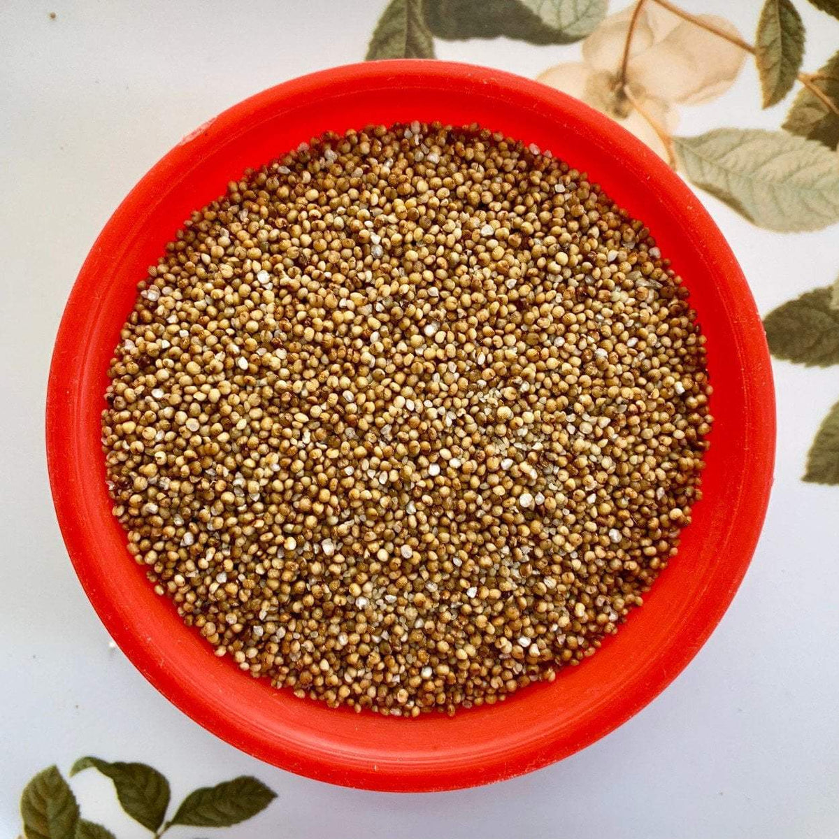 Gramam Kodo Millet 1 kg