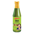 Sabrini Mint Chutney Pouch 20 g