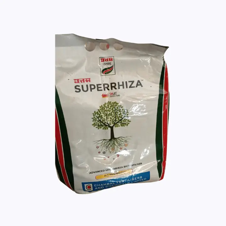 Uttam (alsi) Flax Seeds 200 g