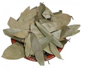 Gajanand Bay Leaves 100 g