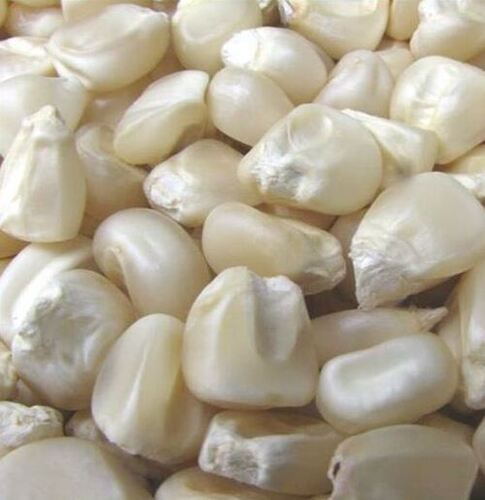 White Corn 1 kg