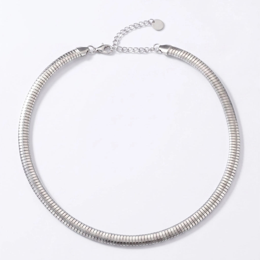 Silver Serpent Chain