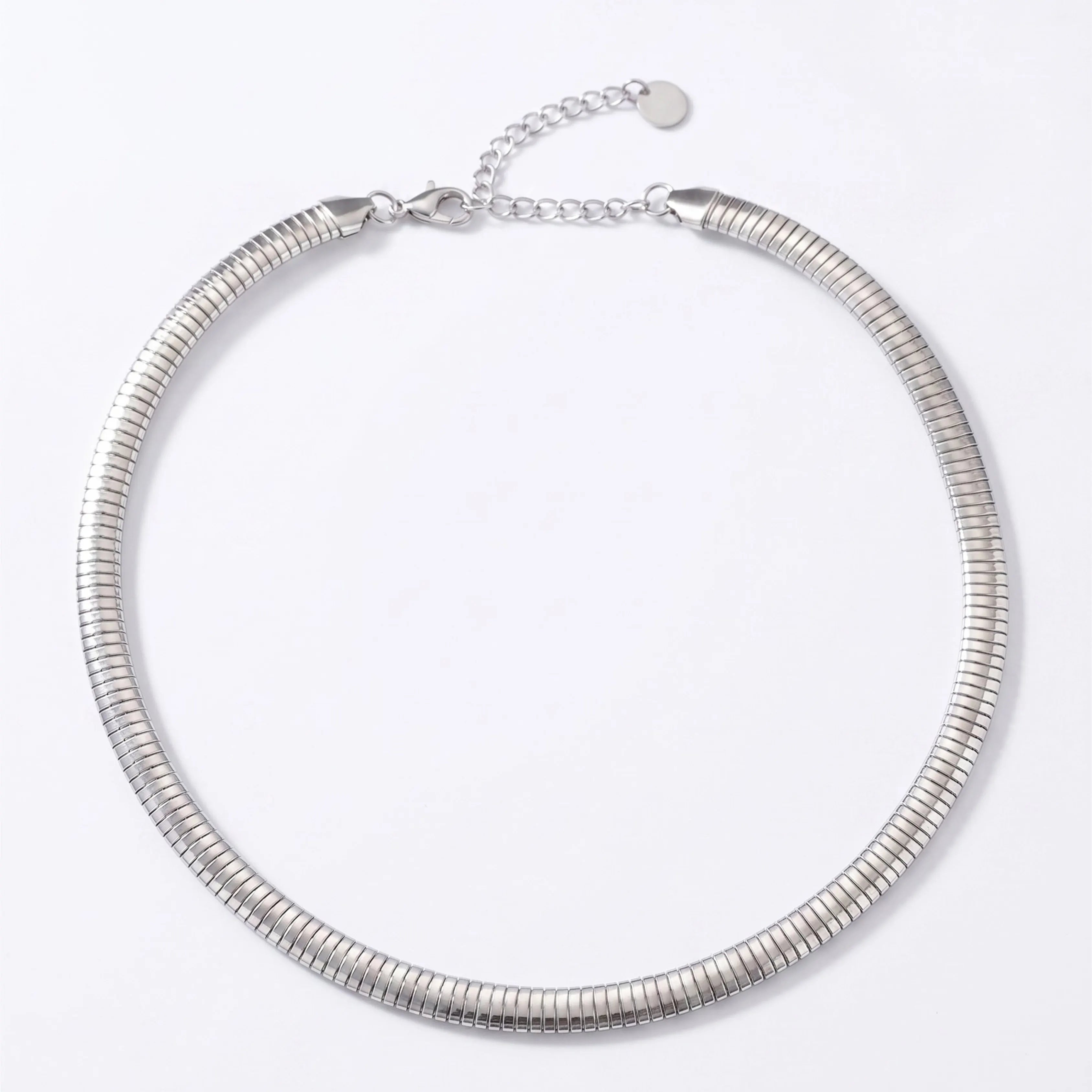 Silver Serpent Chain